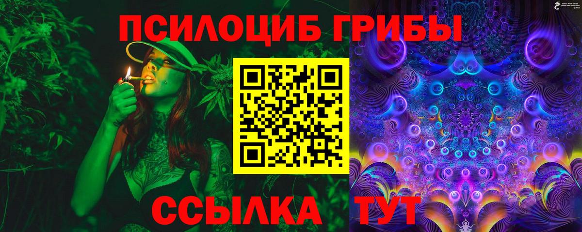 Галлюциногенные грибы GOLDEN TEACHER  Вход с VPN  Жуковский  Галлюциногенные грибы Magic Shrooms 